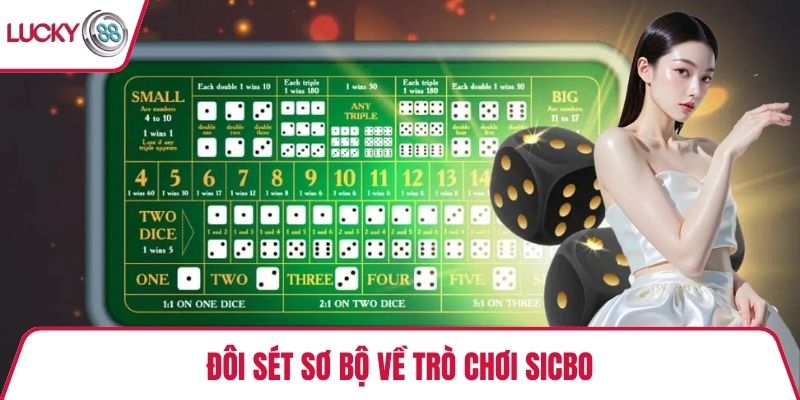 Đôi sét sơ bộ về trò chơi Sicbo