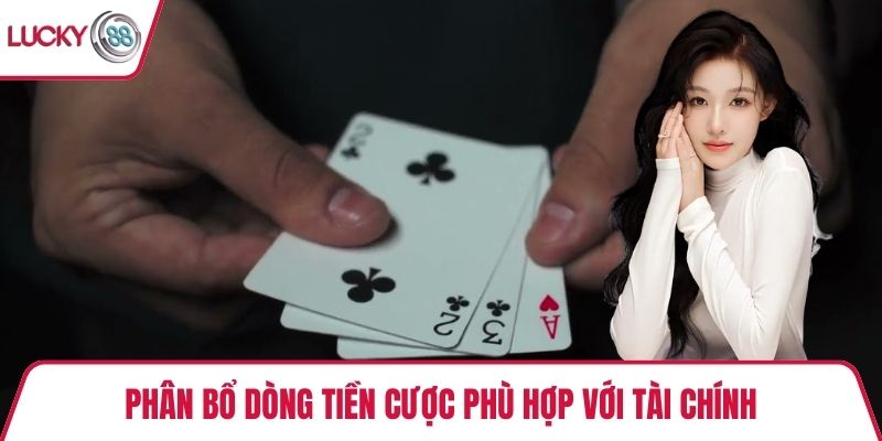 Phân bổ dòng tiền cược phù hợp với tài chính