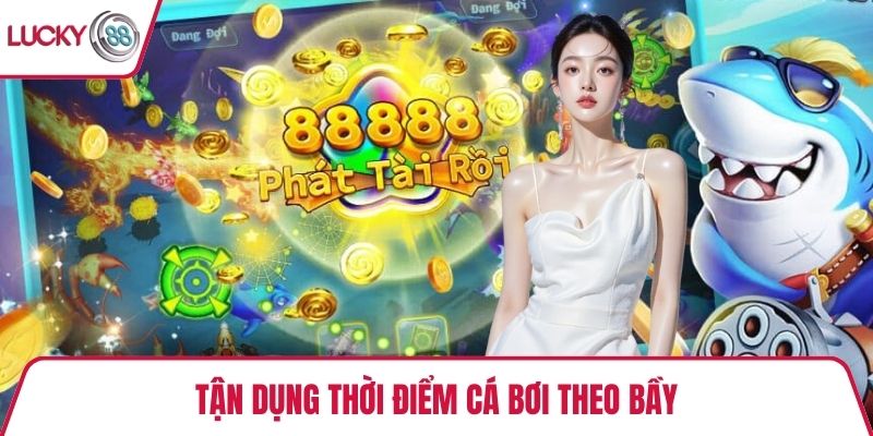 Tận dụng thời điểm cá bơi theo bầy